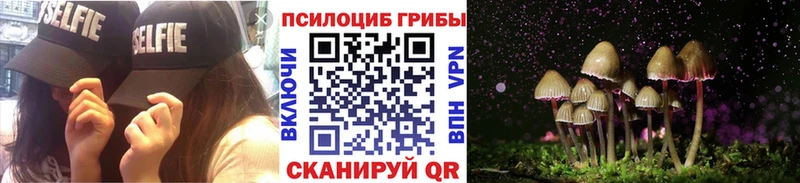 сколько стоит  Барнаул  Галлюциногенные грибы MAGIC MUSHROOMS 