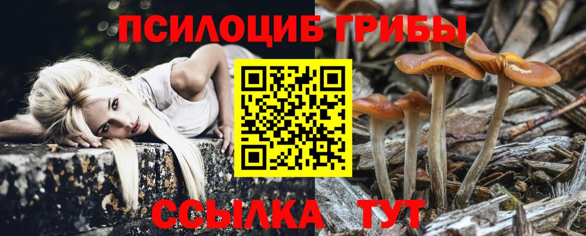 Псилоцибиновые грибы ЛСД Барнаул